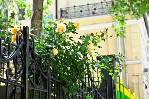 Hostal L'opera Guest House