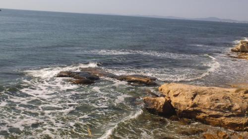 Apartments Garkovi In Laguna Beach