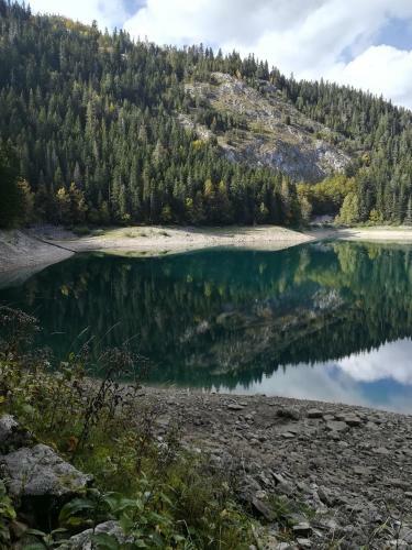 Rafting Apartments Goran Lekovic