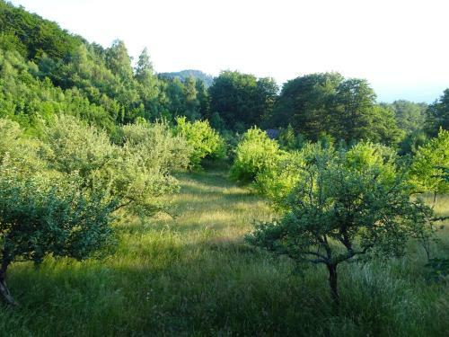 Holiday Home Crkvina