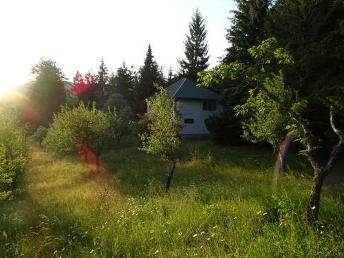 Holiday Home Crkvina