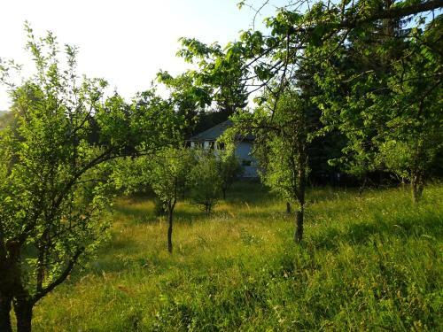 Holiday Home Crkvina