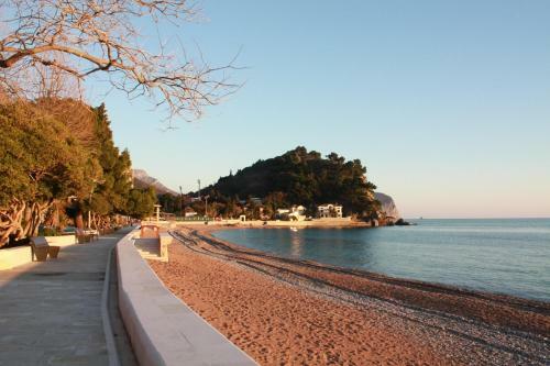 Vasiliki Seaside Apartments