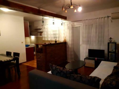 Apartment Kustudic