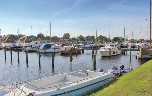 Freonskip