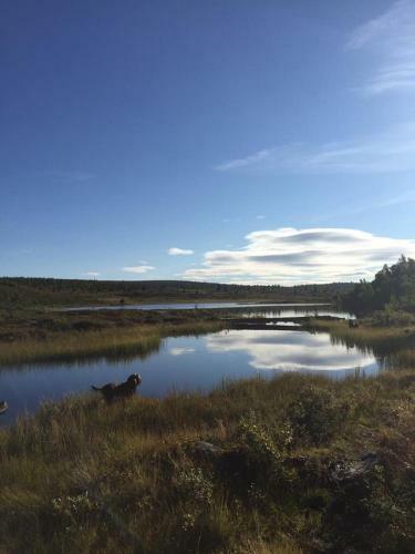Hotel Guriset H�yfjellshotell