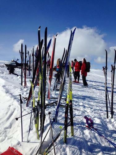 Hotel Guriset H�yfjellshotell
