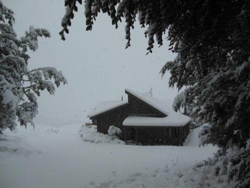 Albergue Forest Lodge