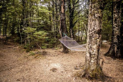 Albergue Forest Lodge