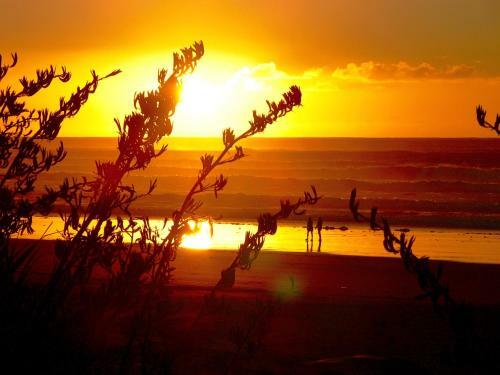Oakura Beach Holiday Park
