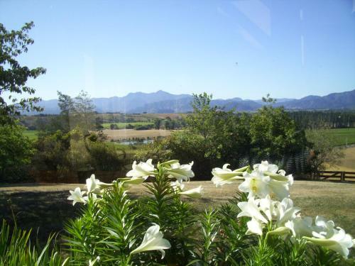 Bed & Breakfast Omaka Heights Countrystay