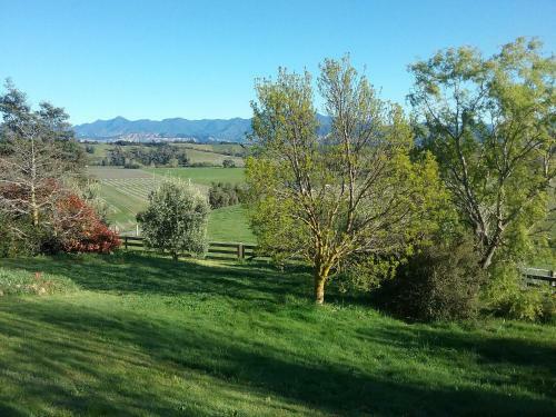 Bed & Breakfast Omaka Heights Countrystay