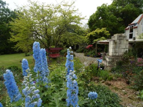 Ranui Retreat Bed And Breakfast