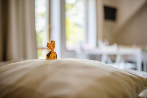 Hostal Przysta? Przy Lesie