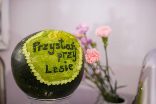 Hostal Przysta? Przy Lesie