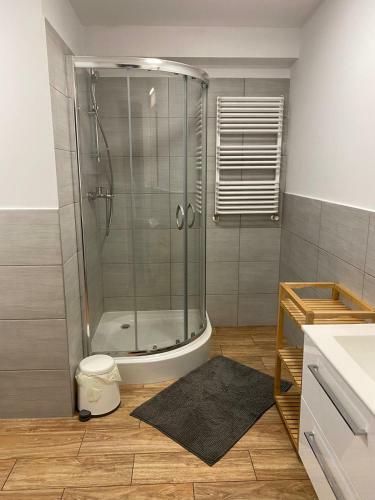 Apartament Caminski