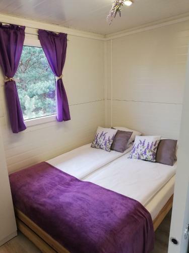 Hostal Miodowy Zak?tek Przy Suntago