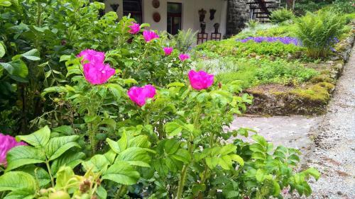 Hotel Dom Tatry