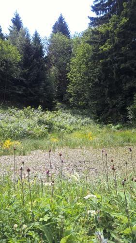 Hotel Dom Tatry