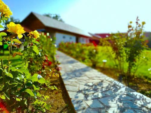 Hostal Pensiunea Xinela