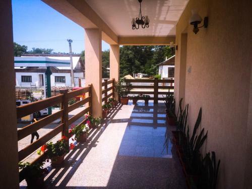 Hostal Pensiunea Xinela
