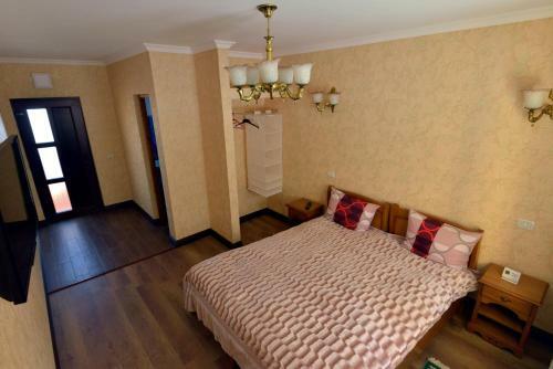 Lodge Pensiunea Casa Dana