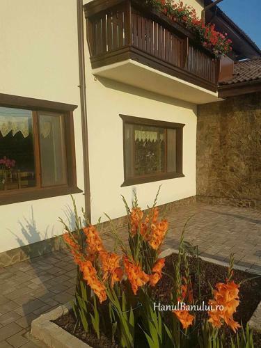 Bed & Breakfast Hanul Banului