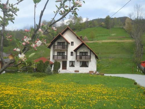 Agroturismo Pensiunea Poienita