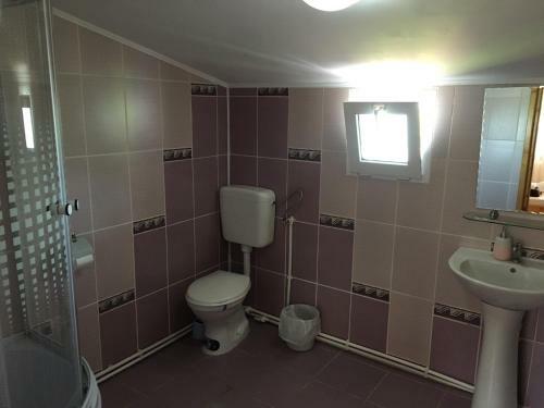 Hostal Pensiunea Alina