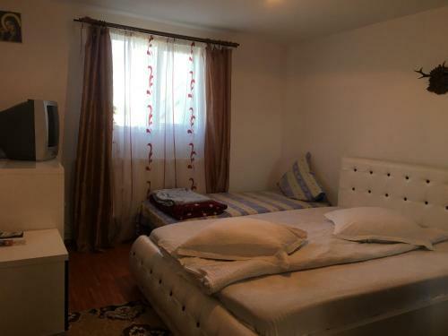 Hostal Pensiunea Alina
