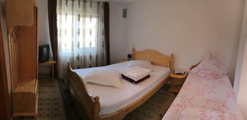 Hostal Pensiunea Alina