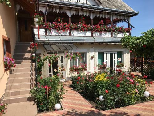 Hostal Pensiunea Alina