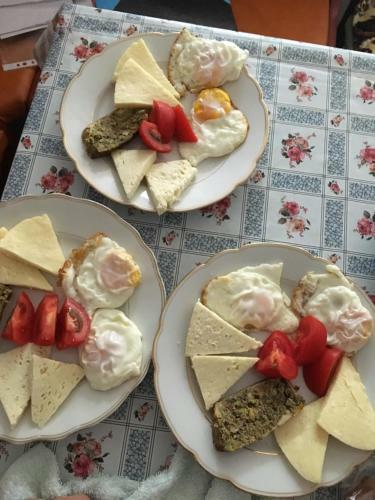 Hostal Pensiunea Alina