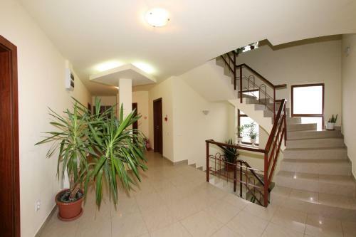 Hostal Pensiunea Belvedere Cincis