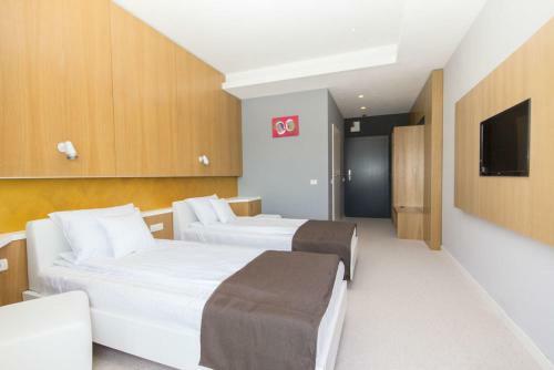 Hotel Pensiunea Art 1000