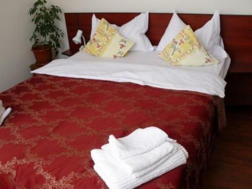 Hotel Pensiunea Dariana