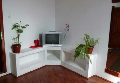 Hotel Pensiunea Dariana