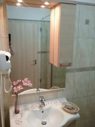 Hostal Pensiunea Rustik Lancram