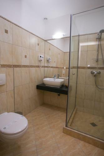 Hostal Pensiunea Rustik Lancram