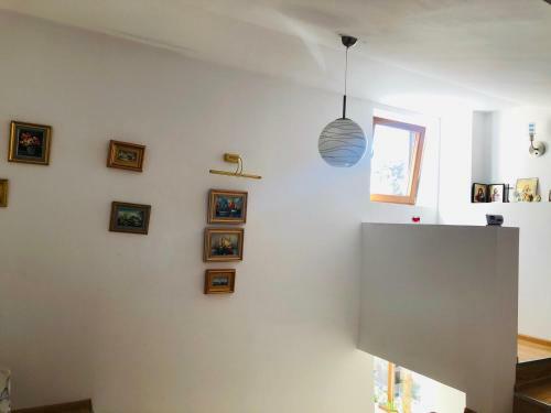 Hostal Vila Selena