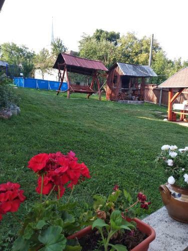 Hostal Kinga Vend�gh�z