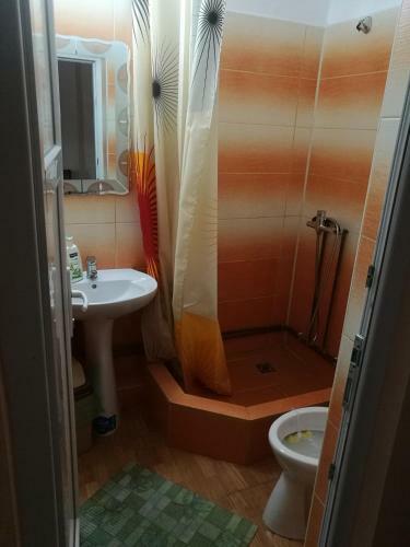 Hostal Pensiunea Remus