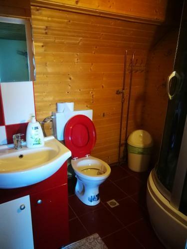 Hostal Pensiunea Remus