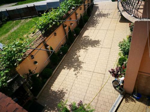 Hostal Pensiunea Remus