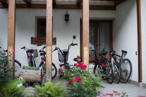 Villa Conacul De Sub Munte