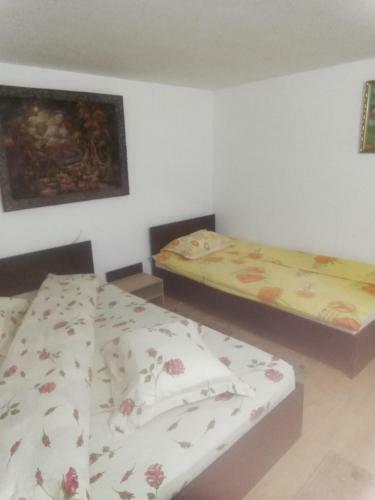 Hostal Pensiunea Casa Andreea