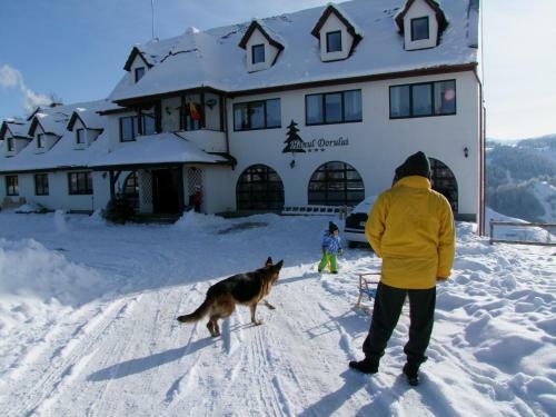 Hostal Hanul Dorului