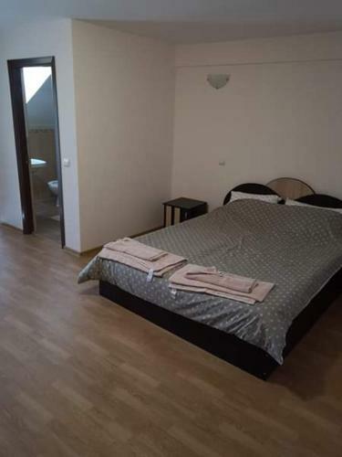 Hostal Pensiunea Casa Andrei