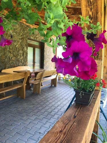 Hostal Casa Brancovenilor