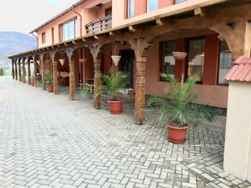 Hostal Pensiunea Sasu